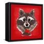 Raccoon-Bella Dos Santos-Framed Stretched Canvas