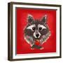 Raccoon-Bella Dos Santos-Framed Art Print