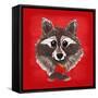 Raccoon-Bella Dos Santos-Framed Stretched Canvas