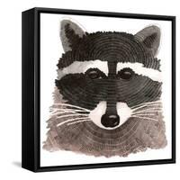 Raccoon-Jeannine Saylor-Framed Stretched Canvas