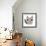 Raccoon-Josefina-Framed Art Print displayed on a wall