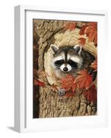 Raccoon-William Vanderdasson-Framed Giclee Print