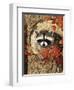 Raccoon-William Vanderdasson-Framed Giclee Print