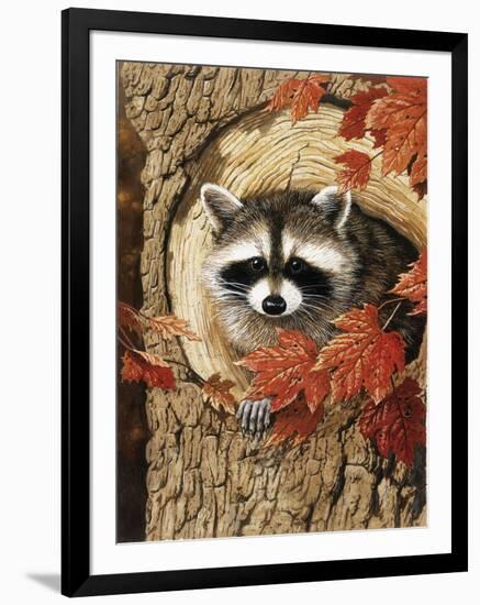 Raccoon-William Vanderdasson-Framed Giclee Print