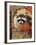 Raccoon-William Vanderdasson-Framed Giclee Print