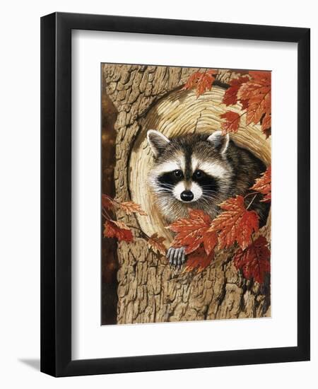 Raccoon-William Vanderdasson-Framed Premium Giclee Print