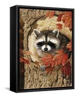 Raccoon-William Vanderdasson-Framed Stretched Canvas