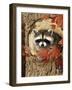 Raccoon-William Vanderdasson-Framed Premium Giclee Print