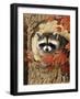 Raccoon-William Vanderdasson-Framed Premium Giclee Print