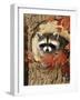 Raccoon-William Vanderdasson-Framed Premium Giclee Print