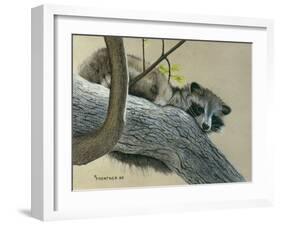 Raccoon-Rusty Frentner-Framed Giclee Print