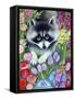 Raccoon-Oxana Zaika-Framed Stretched Canvas