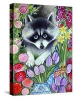 Raccoon-Oxana Zaika-Stretched Canvas