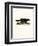 Raccoon-null-Framed Premium Giclee Print