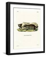 Raccoon-null-Framed Giclee Print