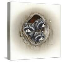 Raccoons in Hole-Peggy Harris-Stretched Canvas