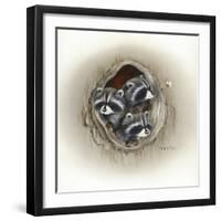 Raccoons in Hole-Peggy Harris-Framed Giclee Print