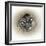 Raccoons in Hole-Peggy Harris-Framed Giclee Print