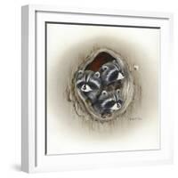 Raccoons in Hole-Peggy Harris-Framed Giclee Print