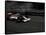 Race Car Driving, USA-Michael Brown-Framed Stretched Canvas