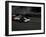 Race Car Driving, USA-Michael Brown-Framed Premium Photographic Print