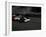 Race Car Driving, USA-Michael Brown-Framed Premium Photographic Print