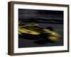 Race Car Driving, USA-Michael Brown-Framed Photographic Print