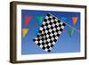 Race Day-jgroup-Framed Photographic Print