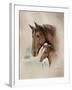 Race Horse I-Ruane Manning-Framed Art Print