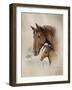 Race Horse I-Ruane Manning-Framed Art Print