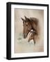 Race Horse I-Ruane Manning-Framed Art Print