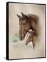 Race Horse I-Ruane Manning-Framed Stretched Canvas
