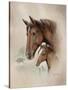 Race Horse I-Ruane Manning-Stretched Canvas
