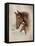 Race Horse I-Ruane Manning-Framed Stretched Canvas