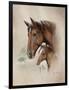Race Horse I-Ruane Manning-Framed Premium Giclee Print
