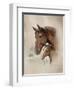 Race Horse I-Ruane Manning-Framed Art Print