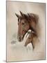 Race Horse I-Ruane Manning-Mounted Art Print