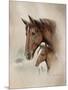 Race Horse I-Ruane Manning-Mounted Art Print