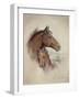 Race Horse II-Ruane Manning-Framed Premium Giclee Print