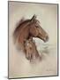 Race Horse II-Ruane Manning-Mounted Premium Giclee Print
