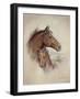 Race Horse II-Ruane Manning-Framed Art Print