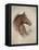 Race Horse II-Ruane Manning-Framed Stretched Canvas