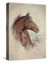 Race Horse II-Ruane Manning-Stretched Canvas