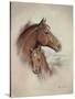 Race Horse II-Ruane Manning-Stretched Canvas