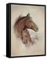 Race Horse II-Ruane Manning-Framed Stretched Canvas