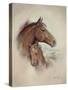 Race Horse II-Ruane Manning-Stretched Canvas