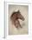 Race Horse II-Ruane Manning-Framed Art Print