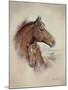 Race Horse II-Ruane Manning-Mounted Art Print