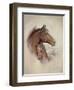 Race Horse II-Ruane Manning-Framed Art Print