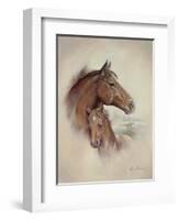 Race Horse II-Ruane Manning-Framed Art Print